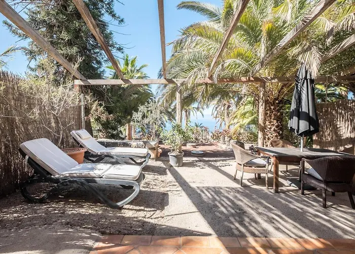 Flamboyan * アデヘ